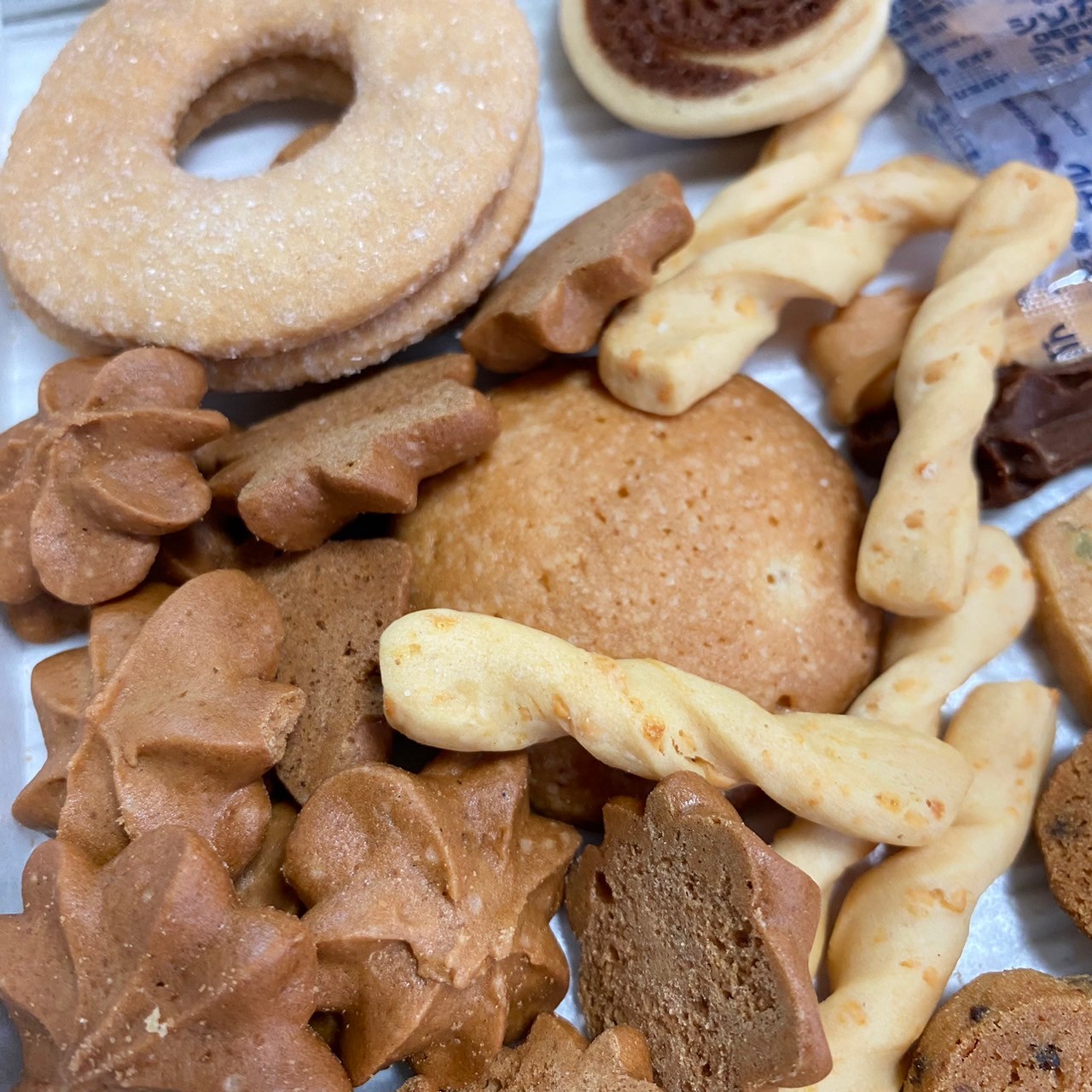 最寄会 の活動写真