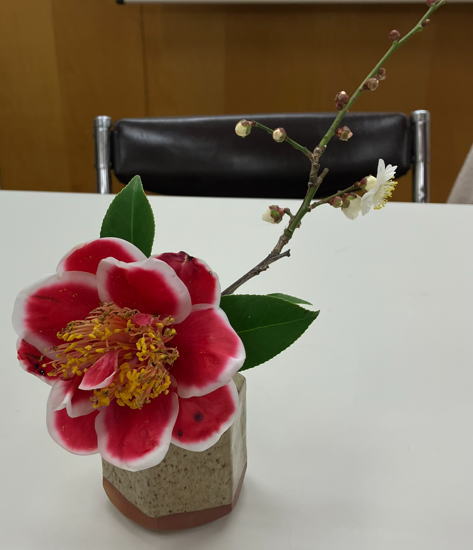 2月例会 の花の写真