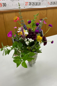 ７月例会 の花の写真